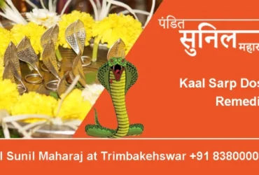 Kaal Sarp Dosh Remedies