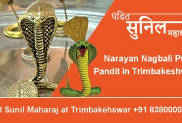 Narayan Nagbali Puja Pandit in Trimbakeshwar