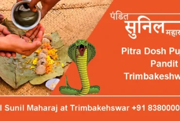 Pitra Dosh Puja Pandit in Trimbakeshwar