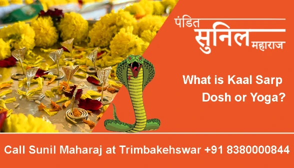 What is Kaal Sarp Dosh or Yoga?