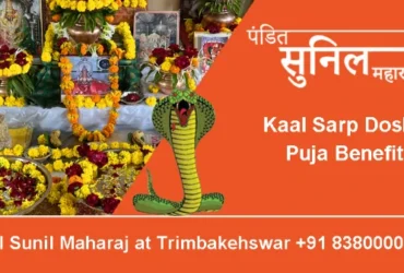 Kaal Sarp Dosh Puja Benefits