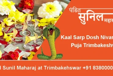 Kaal Sarp Dosh Nivaran Puja Trimbakeshwar