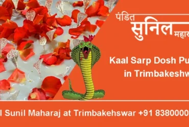 Kaal Sarp Dosh Puja in Trimbakeshwar