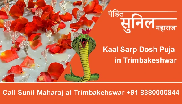 Kaal Sarp Dosh Puja in Trimbakeshwar