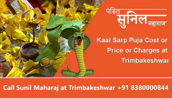 Kaal Sarp Puja Cost or Price or Charges at Trimbakeshwar