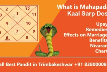 Mahapadam Kaal Sarp Dosh, Upay, Remedies, Effects, Benefits and Chart