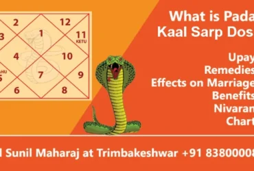 Padam Kaal Sarp Dosh, Upay, Remedies, Effects, Benefits and Chart