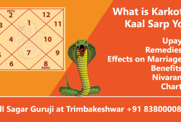Karkotak Kaal Sarp Dosh, Upay, Remedies, Effects, Benefits and Chart