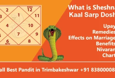 Sheshnag Kaal Sarp Dosh, Upay, Remedies, Effects, Benefits & Chart